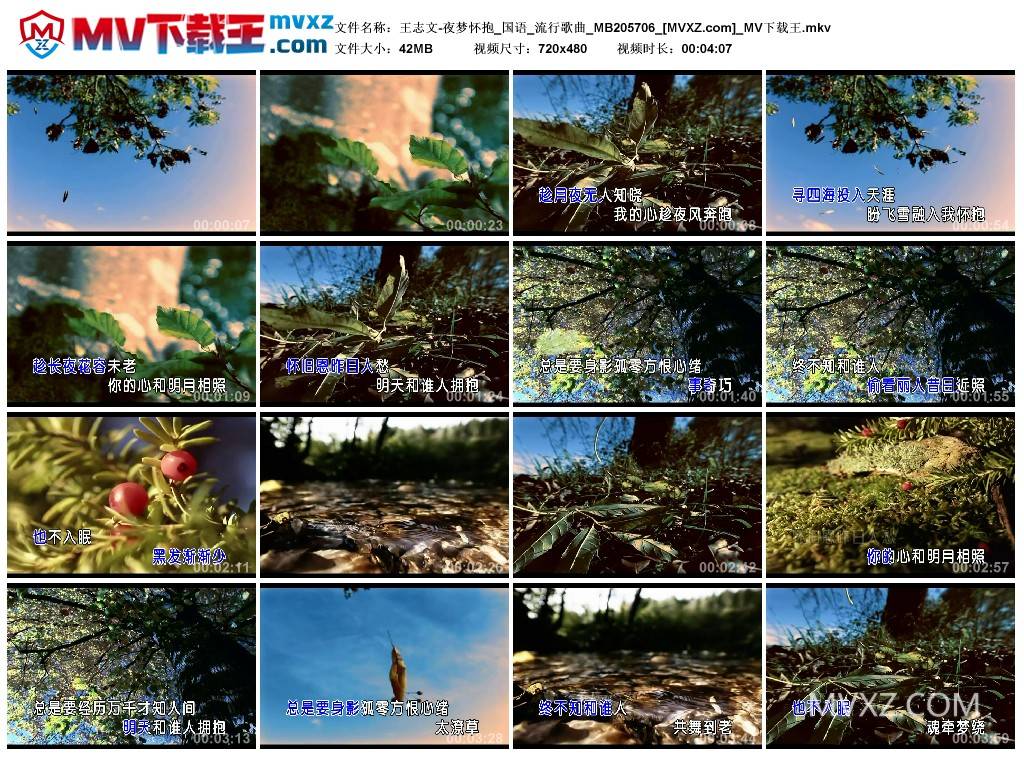 王志文-夜梦怀抱_国语_流行歌曲_MB205706